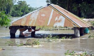 ভাঙনের হাত থেকে রক্ষা করতে ঘরবাড়ি অন্যত্র সরিয়ে নেওয়া হচ্ছে