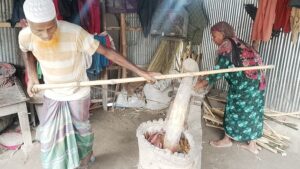 গরু না থাকায় ৩৫ বছর ধরে বুক দিয়ে ঘানি টানছেন মোস্তাকিন