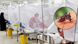 একদিনে ডেঙ্গুতে ৬ জনের মৃত্যু