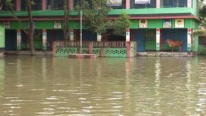 তিস্তা পাড়ের ২০ গ্রামের ১০ হাজার মানুষ পানিবন্দি