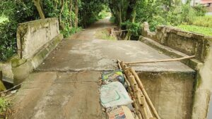 সোনারগাঁয়ে সড়ক-কালভার্ট ভাঙনে ৩০ গ্রামের মানুষের ভোগান্তি