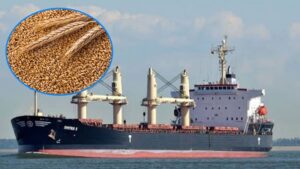 রাশিয়া থেকে এলো সাড়ে ৫২ হাজার টন গম