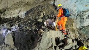 ভারতে ভূমিধসে পাথর চাপায় বাসের ১৮ যাত্রী নিহত