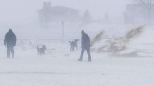 তুষারঝড়-তীব্র ঠান্ডায় বিপর্যস্ত যুক্তরাষ্ট্র, ৩০ জনের মৃত্যু