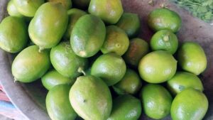 রাজবাড়ীতে অতিরিক্ত দামে বিক্রি হচ্ছে লেবু