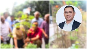 সারাদেশে বৃক্ষরোপণ কর্মসূচি জোরদারের নির্দেশ প্রধানমন্ত্রীর